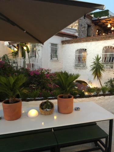 Tatil Evi