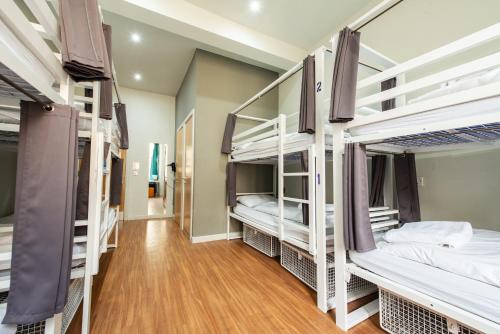 Bed in 8-Bed Dormitory Room