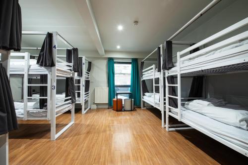 Bed in 10-Bed Dormitory Room