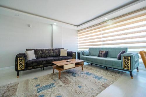 Standart Daire