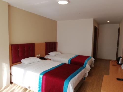 Spacious Twin Room