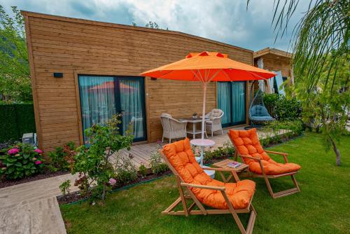 Double Room with Patio