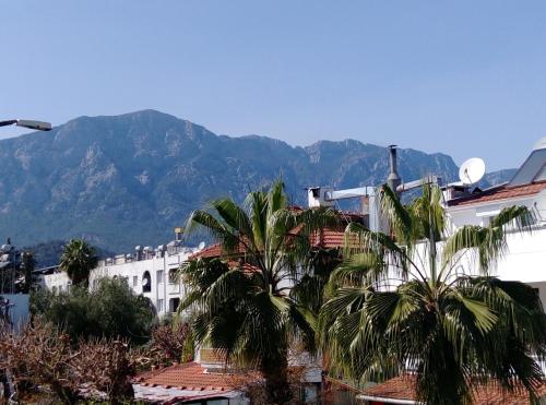 Standart Çift Kişilik veya İki Yataklı Oda