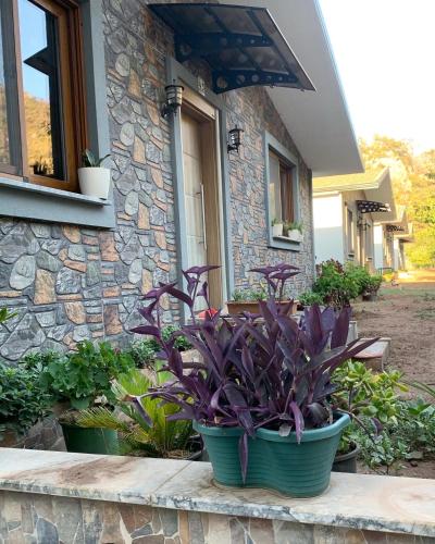 Tek Yatak Odalı Bungalov
