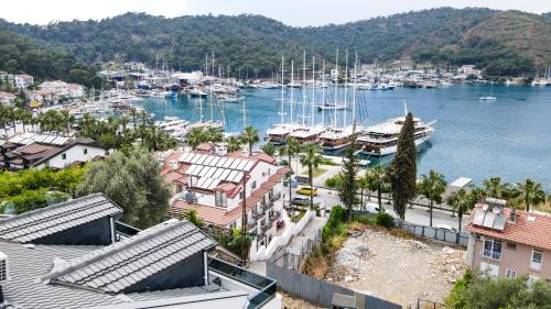 Penthouse Daire