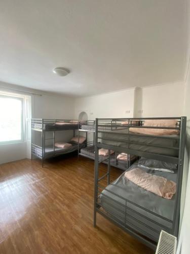 8-bed mixed dormitoryde 1 yatak