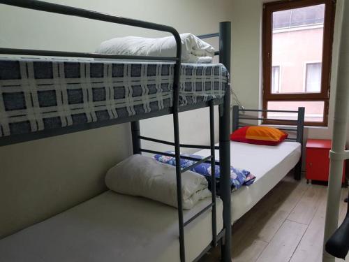 Single Bed in Male Dormitory Room