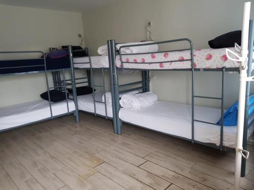 Single Bed in Female Dormitory Room