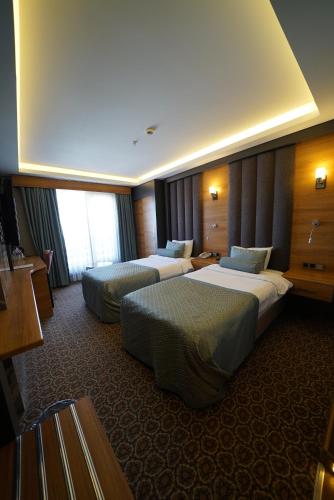 Standard Double Room - Mountain View