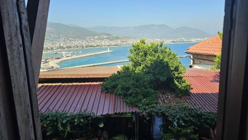 Suite - Sea View