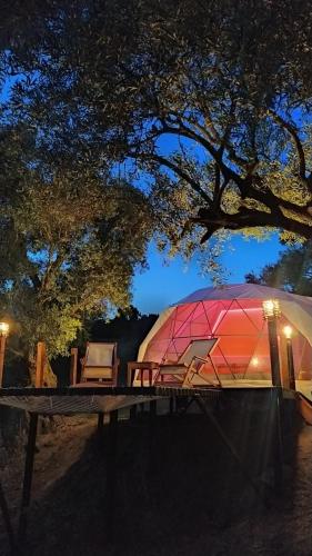 Deluxe Çift Kişilik Stüdyo