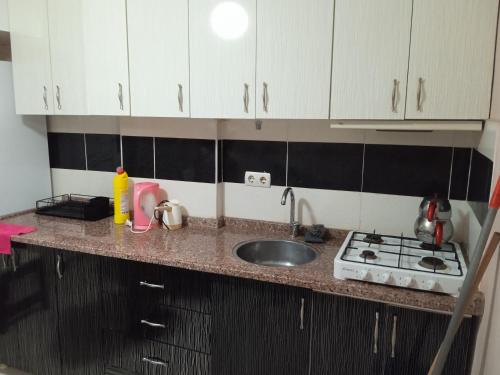 İki Yatak Odalı Standart Daire