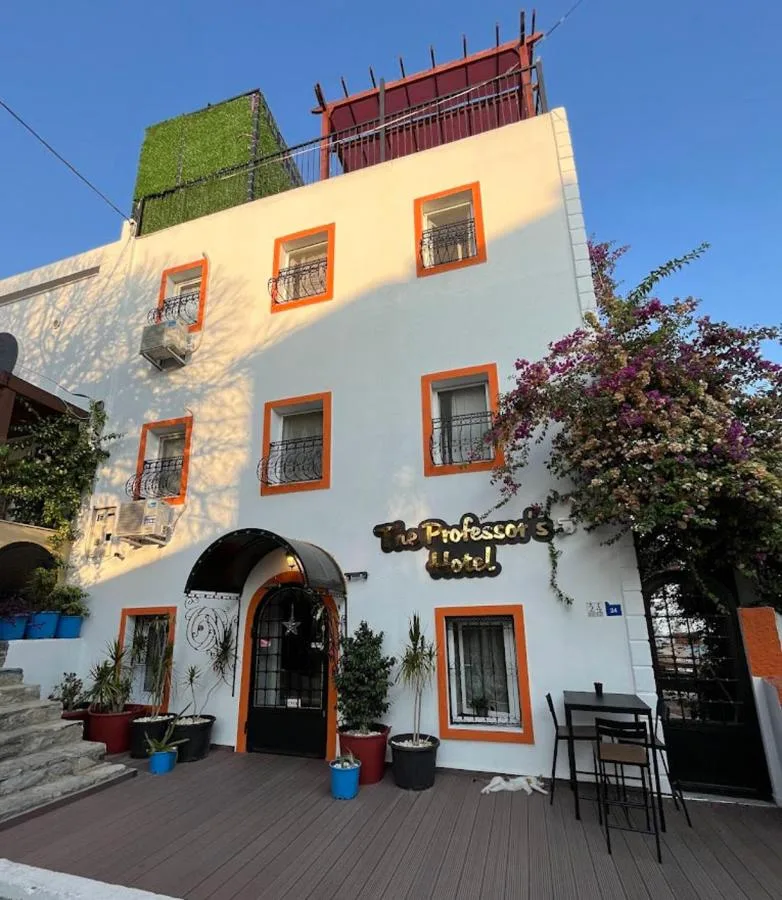 The Professor’s Hotel