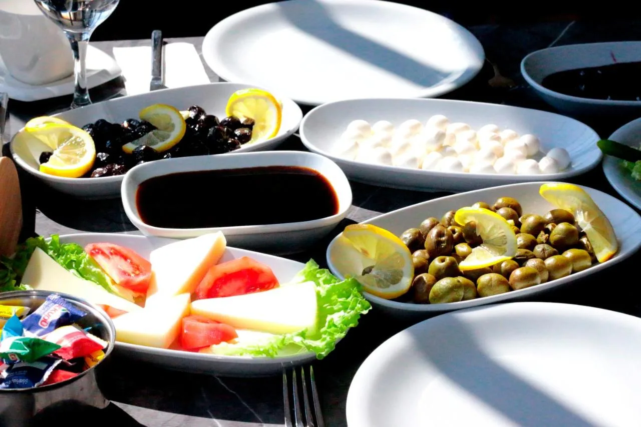 Vizyon Otel Darıca