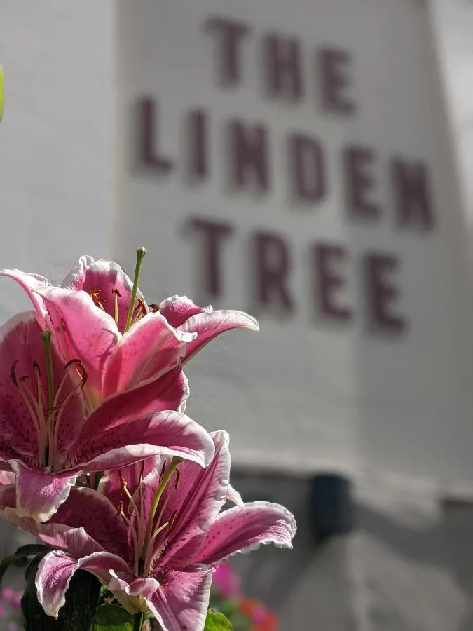 The Linden Tree