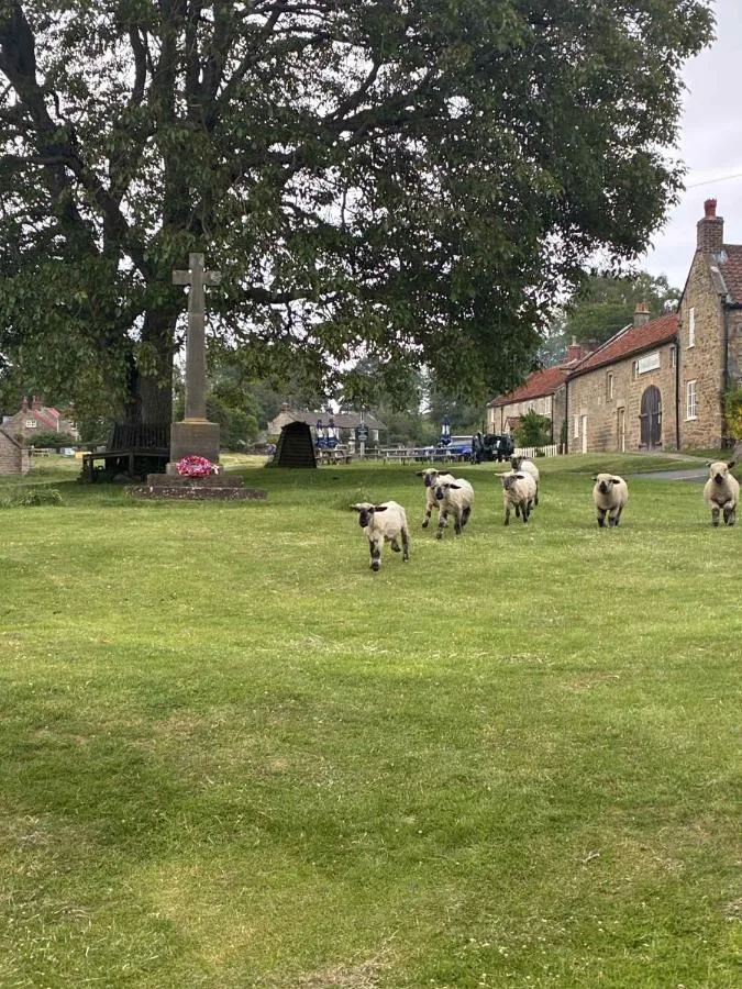 The Barn Guest House and Tearoom