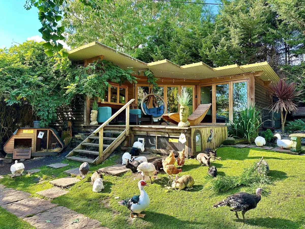 The Base Vegan Retreat Animal Sanctuary
