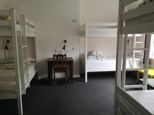 Bed in 4-6 Bed Mixed Dormitory Room - Shared Bathroom