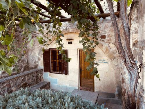 Studio with Terrace