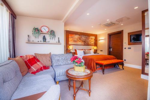 Superior King Suite