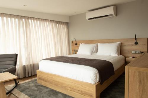 with Terrace Suite