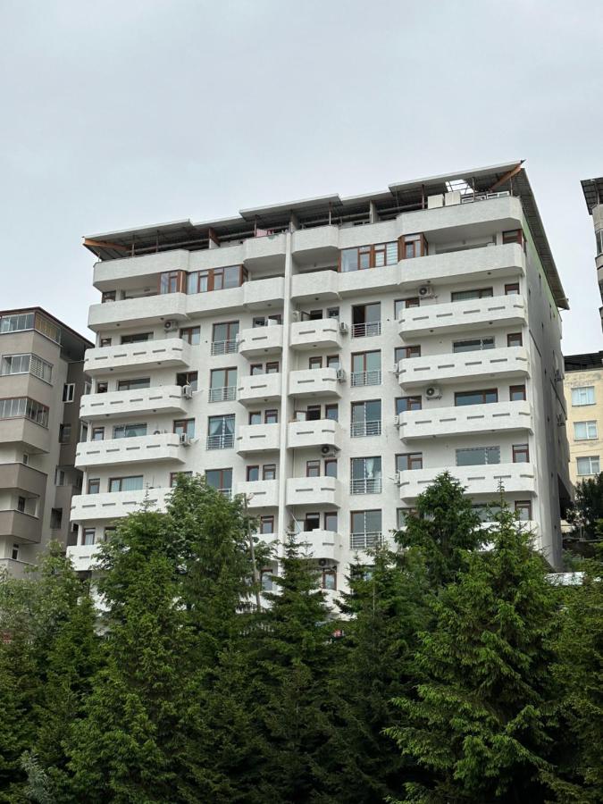 İpek Shah Apart