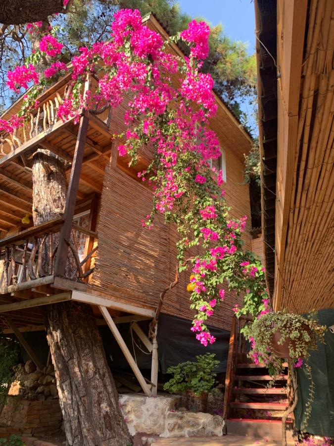 Large Bungalow with Sea View in Kabak Bay, Ölüdeniz