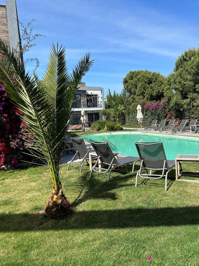 The Search Hotel Bodrum