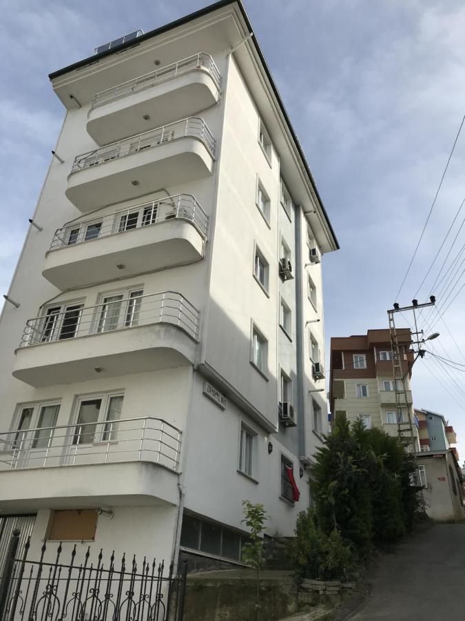 Zoviya Hill White Apart