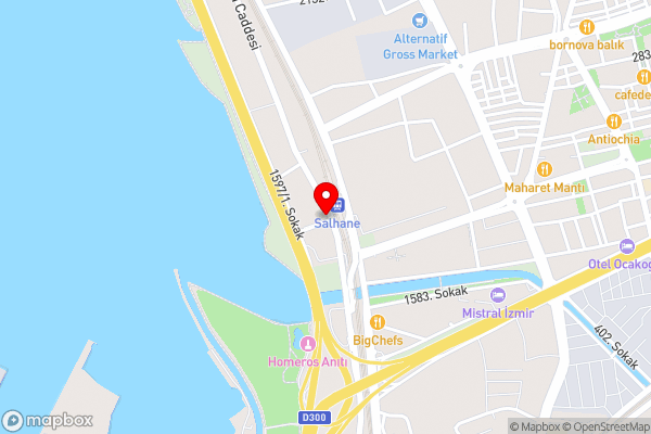 Hilton Garden Inn Izmir Bayrakli - Hotel Location Map