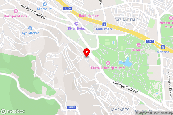 Hotel Çelik Palas Convention Center & Thermal SPA - Hotel Location Map