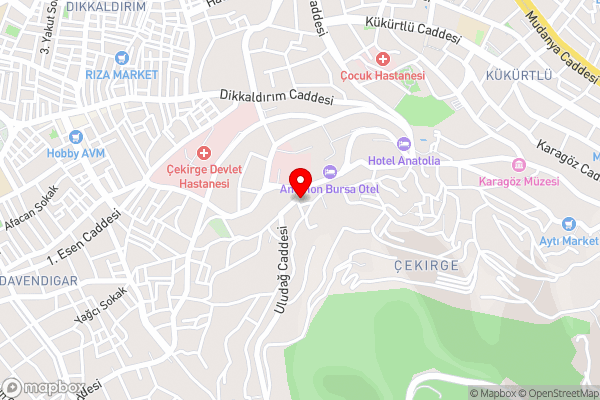Marigold Thermal & Spa Hotel Bursa - Hotel Location Map