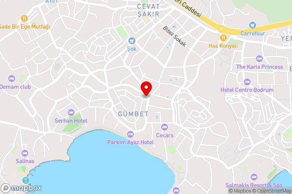 NEMESİS HOTEL - Hotel Location Map