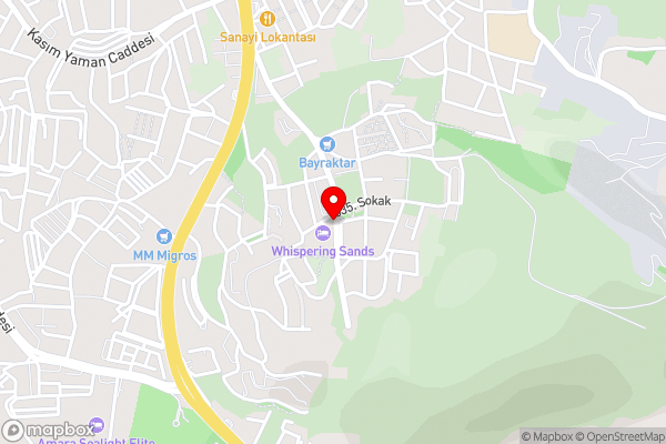 Nesa Palas - Hotel Location Map