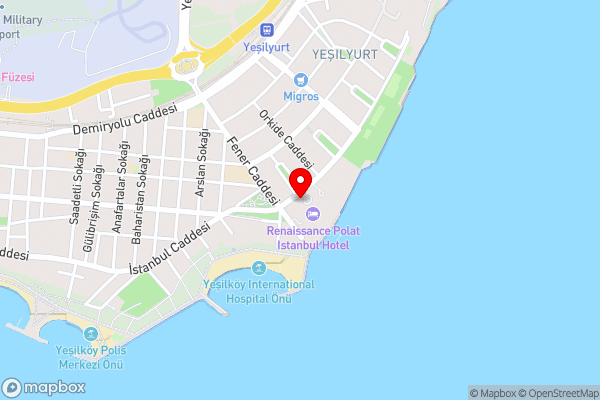 Renaissance Polat Istanbul Hotel - Hotel Location Map