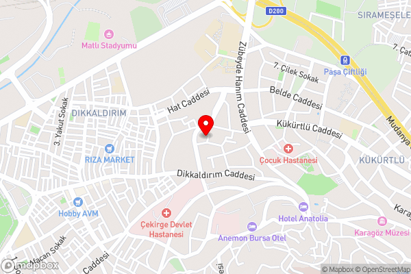 Silver Palace Hotel Bursa - Hotel Location Map