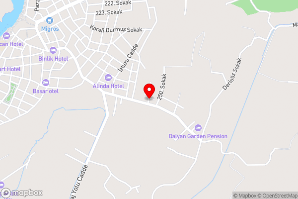 Villa Ebrar Dalyan - Hotel Location Map