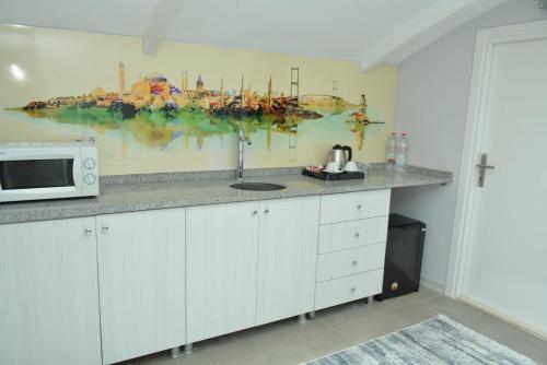 Çatı katı