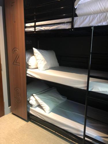 Bed in 18-Bed Mixed Dormitory Room with Shared Bathroom