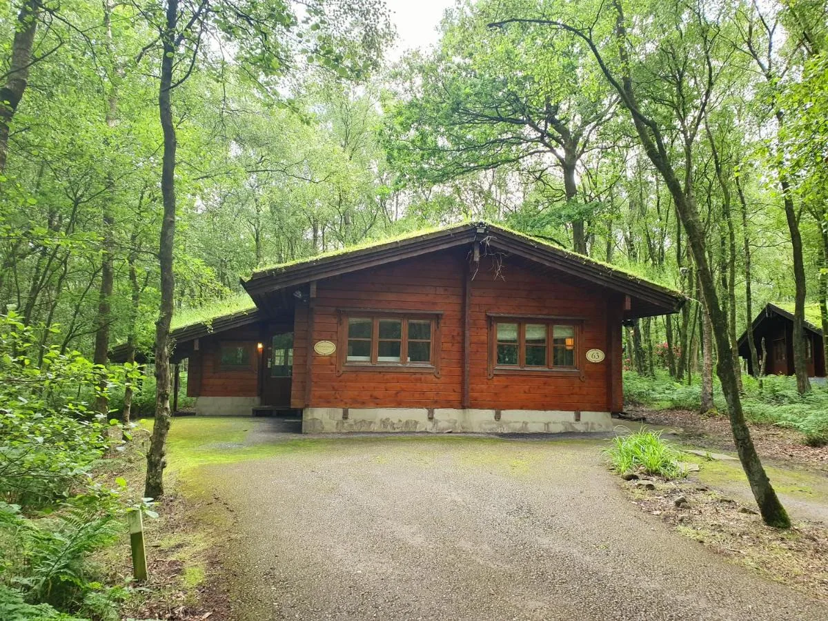 Woodland Lodge - self catering