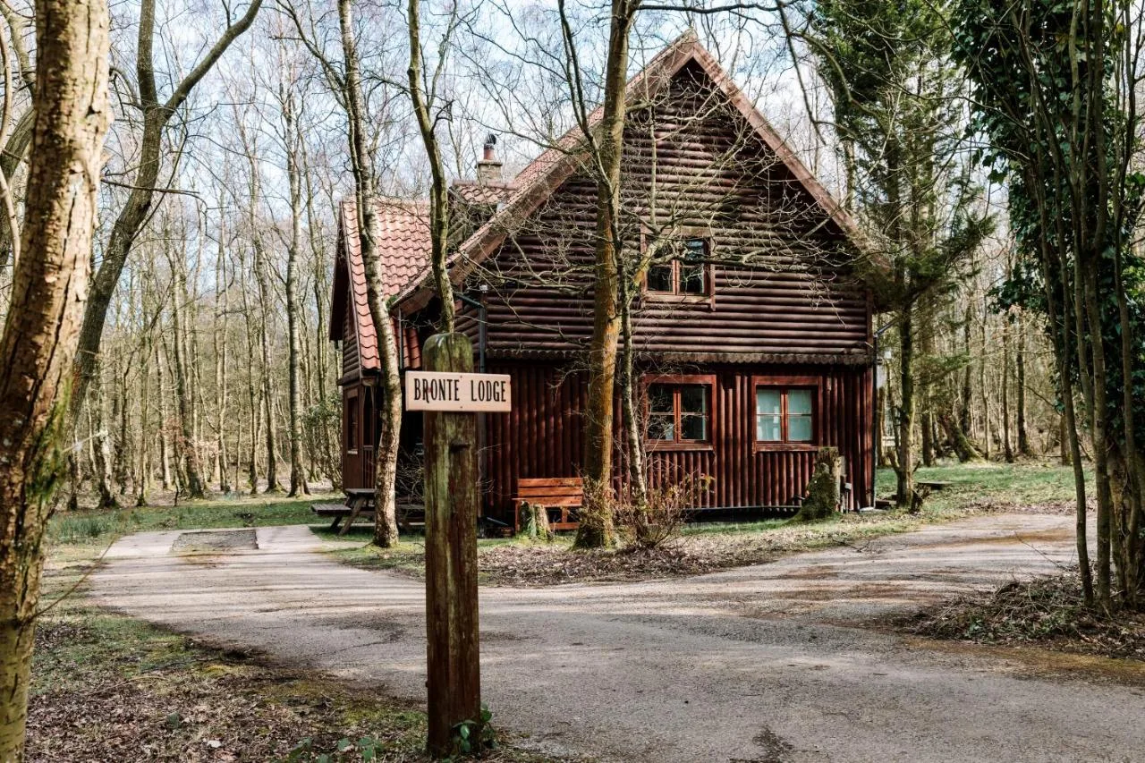 Woodland 3 bed Chalet with hot tub