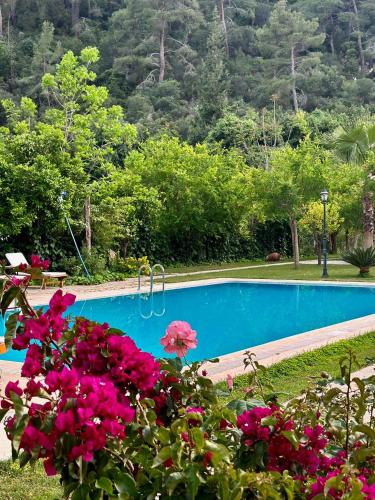 Bungalow - Garden View