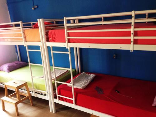 Bed in 8-Bed Mixed Dormitory Room