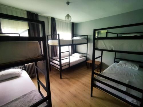 6 Bed Mixed Dorm Room with Share Bathroom
