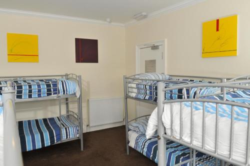 Bed in 12 Bed Mixed Dorm Room