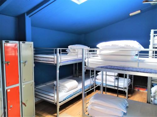 Bunk Bed in 15-Bed Mixed Dormitory Room
