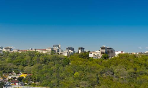 Park Manzaralı King Oda