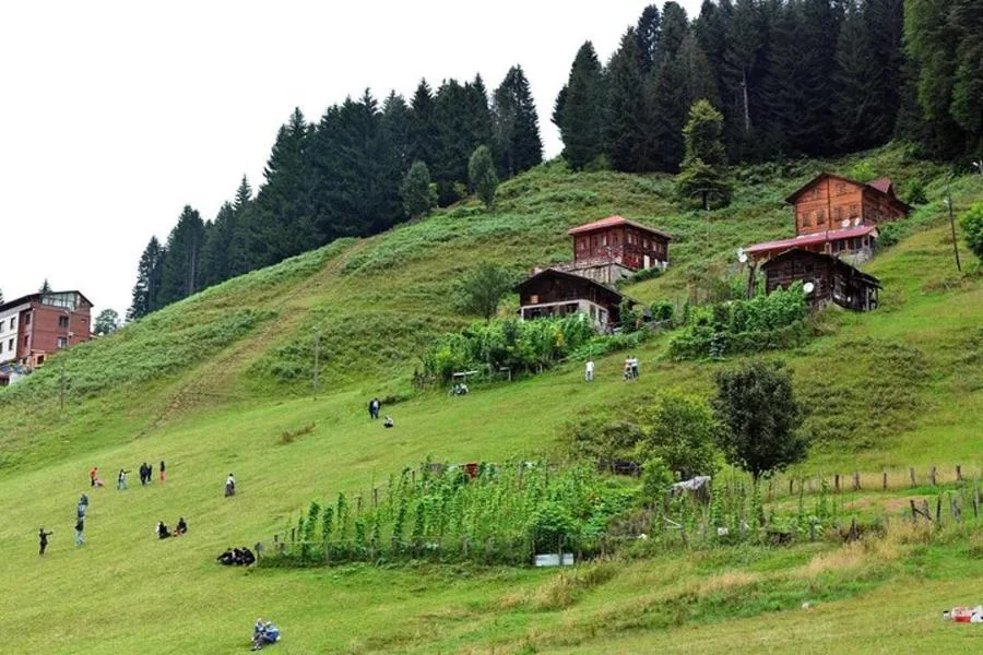 Enjoy Black Sea Boutique Tour – الصورة 2