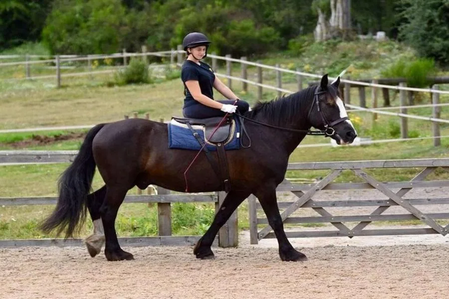 Kemer Horse Riding Experience with Transfer – photo 1