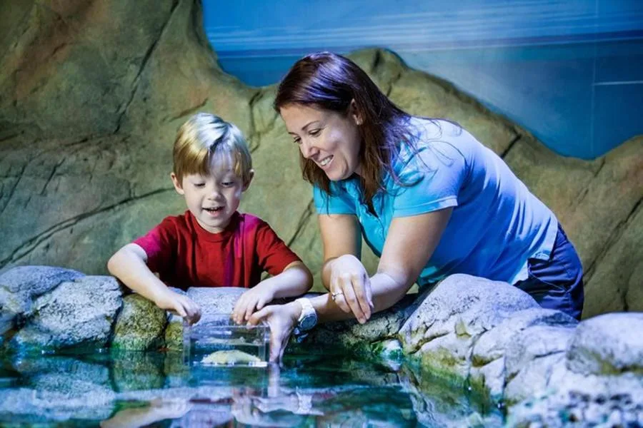 SEA LIFE Manchester Admission Ticket – الصورة 4